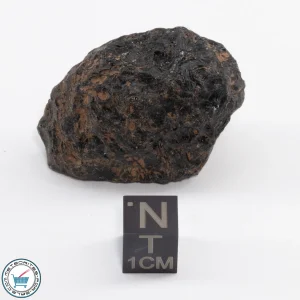 Thailand Tektite 28.8g