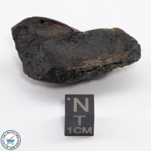 Thailand Tektite 17.4g