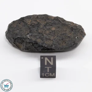 Thailand Tektite 28.3g