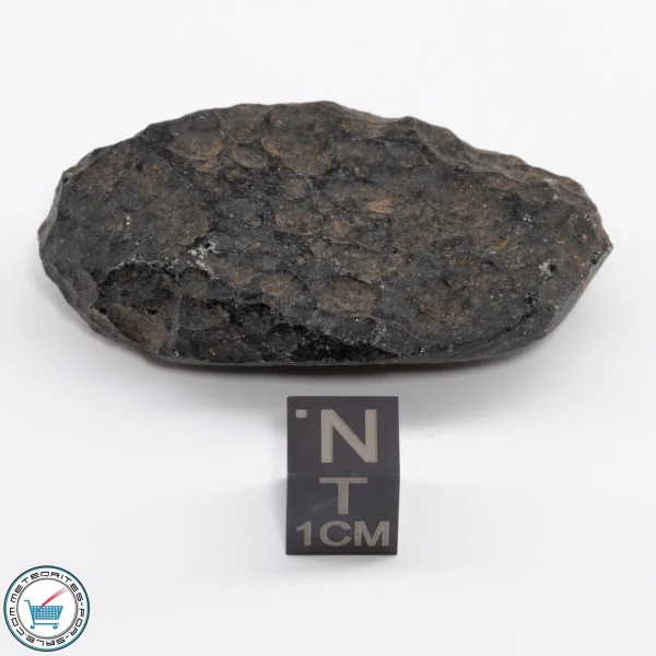 Thailand Tektite 28.3g