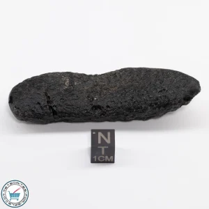 Thailand Tektite 46.5g