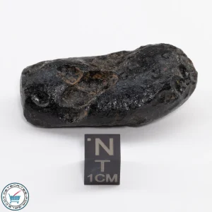 Thailand Tektite 25.9g