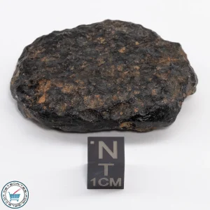 Thailand Tektite 40.3g