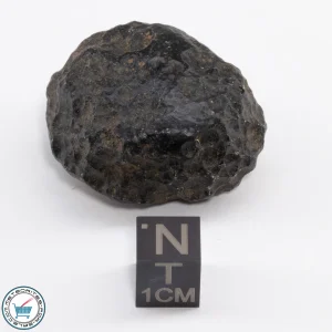 Thailand Tektite 28.1g