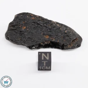 Thailand Tektite 24.4g