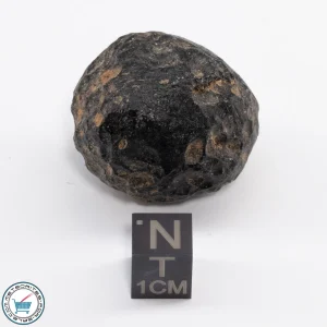 Thailand Tektite 29.7g