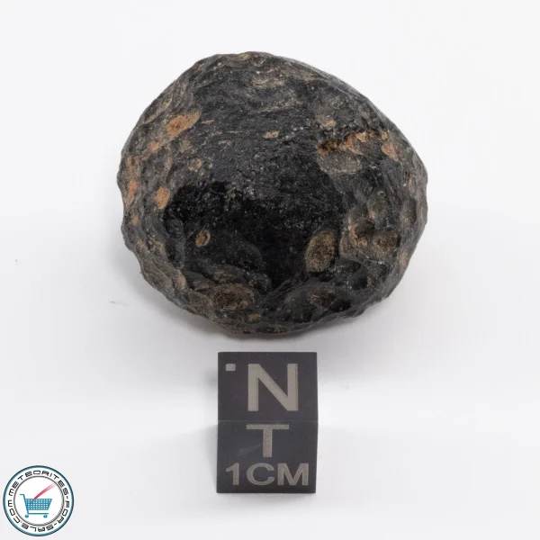 Thailand Tektite 29.7g