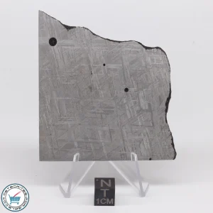 Turgut Meteorite 76.4g Slice