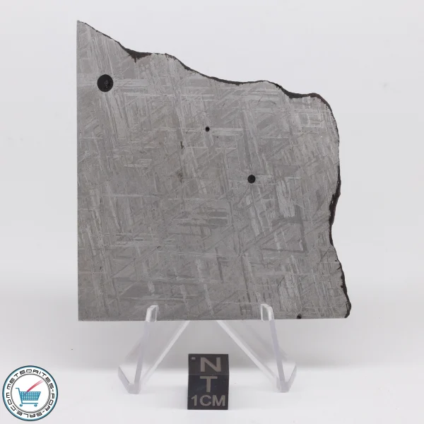 Turgut Meteorite 76.4g Slice