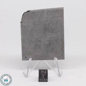 Turgut Meteorite 50.3g Slice
