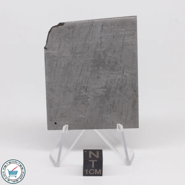 Turgut Meteorite 50.3g Slice