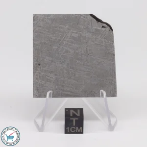 Turgut Meteorite 35.9g Slice