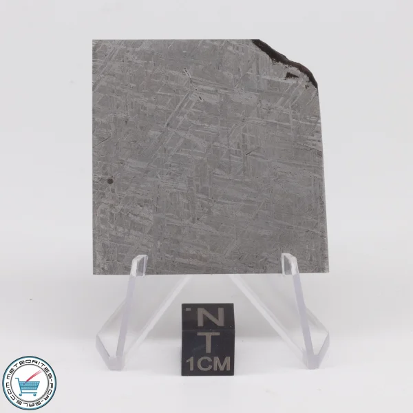Turgut Meteorite 35.9g Slice