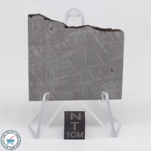 Turgut Meteorite 30.1g Slice