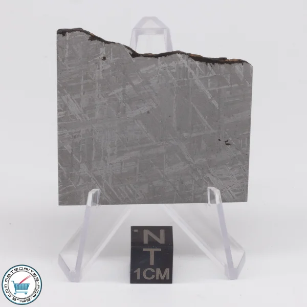 Turgut Meteorite 30.1g Slice