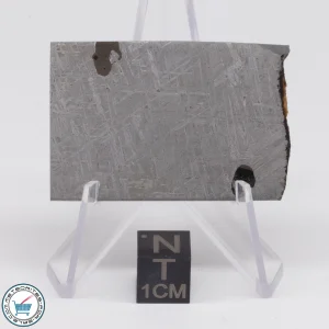 Turgut Meteorite 24.6g Slice