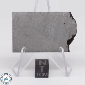 Turgut Meteorite 26.2g Slice