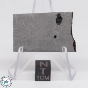 Turgut Meteorite 17.7g Slice