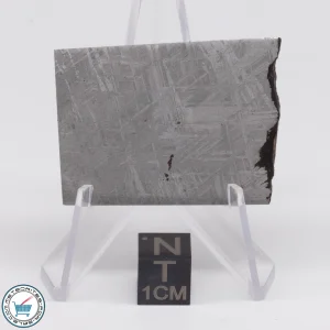 Turgut Meteorite 23.0g Slice