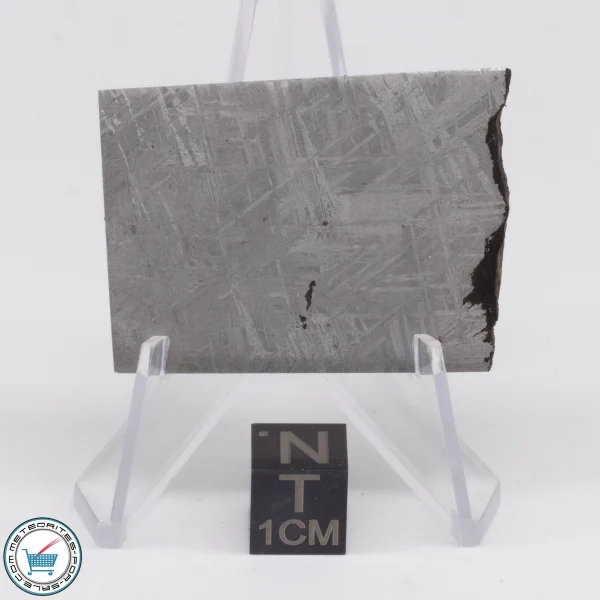 Turgut Meteorite 23.0g Slice