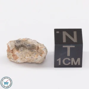 Bechar 003 Lunar Meteorite 1.5g