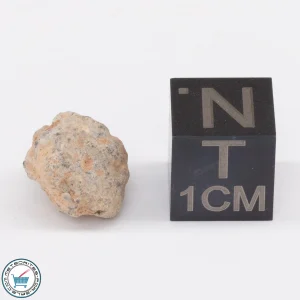 Bechar 003 Lunar Meteorite 1.2g