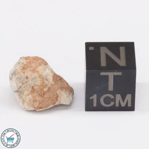 Bechar 003 Lunar Meteorite 1.2g