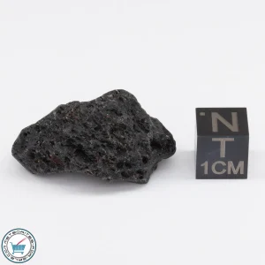 Muong Nong Tektite 7.9g