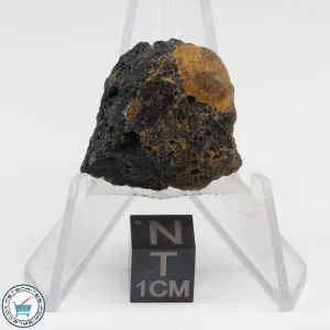 Muong Nong Tektite 6.4g