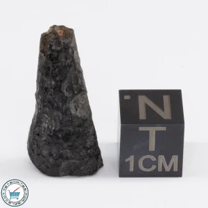 Muong Nong Tektite 1.8g