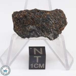Muong Nong Tektite 4.7g