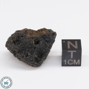 Muong Nong Tektite 8.1g