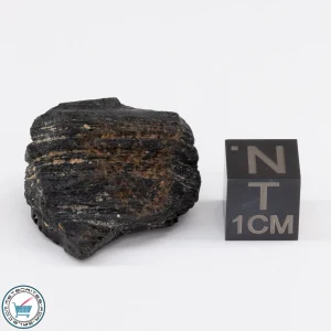 Muong Nong Tektite 8.5g