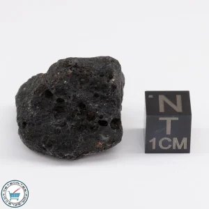 Muong Nong Tektite 13.9g