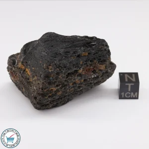 Muong Nong Tektite 63.9g