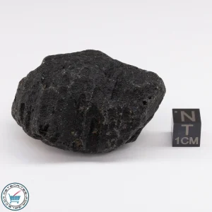 Muong Nong Tektite 61.8g