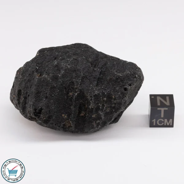 Muong Nong Tektite 61.8g