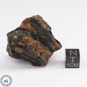 Muong Nong Tektite 28.3g