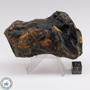Muong Nong Tektite 93.2g
