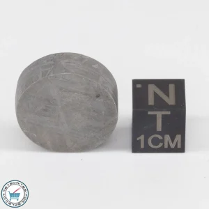 Muonionalusta Meteorite 16.6g