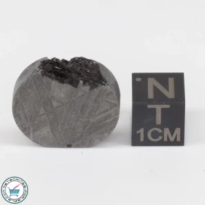 Muonionalusta Meteorite 9.5g