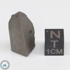 Muonionalusta Meteorite 10.0g