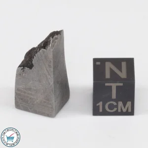 Muonionalusta Meteorite 10.8g