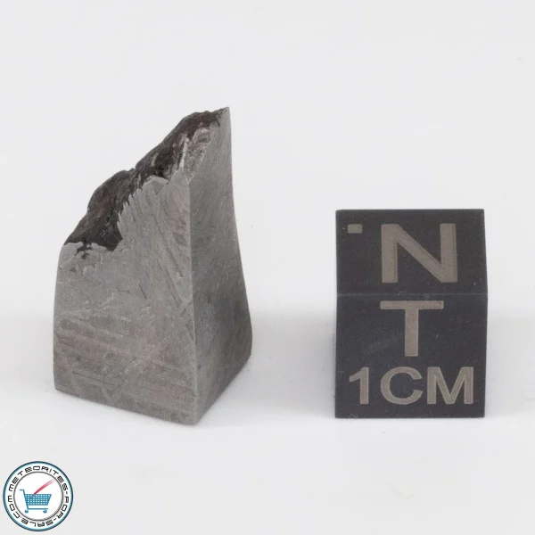 Muonionalusta Meteorite 10.8g