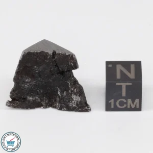 Muonionalusta Meteorite 10.9g