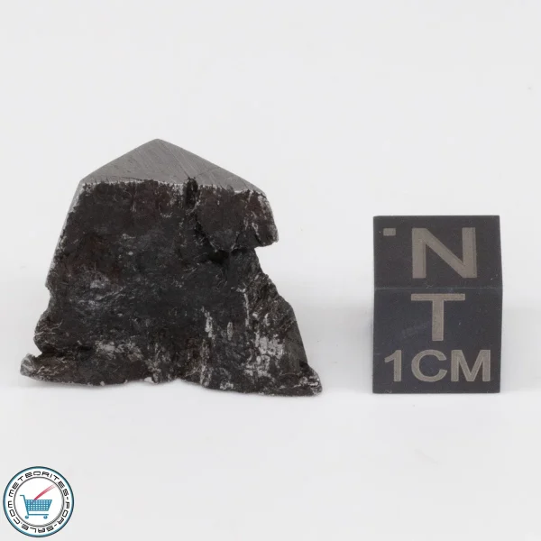 Muonionalusta Meteorite 10.9g
