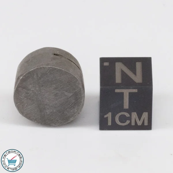 Muonionalusta Meteorite 8.8g