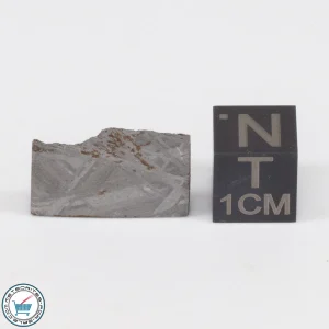 Muonionalusta Meteorite 5.5g