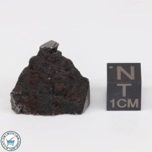 Muonionalusta Meteorite 14.5g