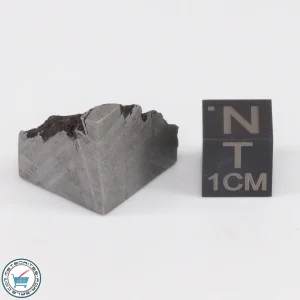 Muonionalusta Meteorite 14.5g